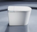 Washroom Toilet