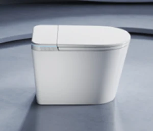 Washroom Toilet