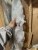 Import Ldpe Films Scrap from USA