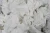 Import Factory Price Tissue Paper Scrap Bulk Sale Industrial Paper Waste Material Available from South Africa