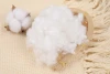 7D Hollow Conjugated Siliconized Fiber for Pillow and Cushion Filling