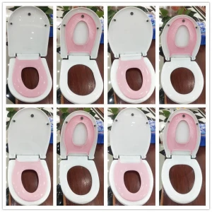 china 2 in 1 Potty Training Seat