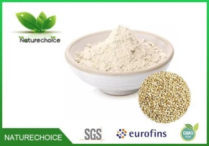 Quinoa seed powder