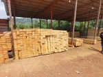 Sawn Tropical wood Iroko