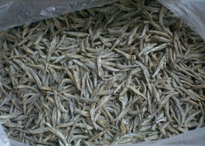 Dried Sprat Anchovy fish / Dried Kapenta fish