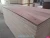 Import Commercial Plywood from Vietnam