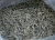 Import Dried Sprat Anchovy fish / Dried Kapenta fish from South Africa