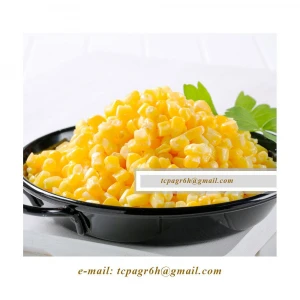 Yellow Maize Corn - YELLOW CORN - from UKRAINE / PRICE 2020 /