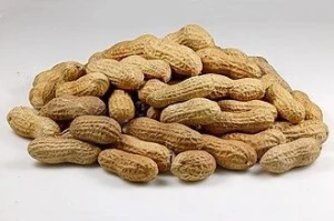 Premium Grade Raw Peanut Kernels – Various Sizes & Packaging Available