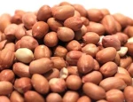 Buy Premium Peanuts Online – Wholesale Peanuts Supplier & Exporter