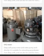 Vertical Motor