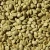 Import Robusta Coffee Bean High Quality Robusta Coffee Bean Available For Sale At Competitive Prices Worldwide from South Africa