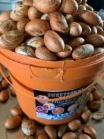 Premium Nigerian Bitter Kola Nuts – Export Quality Garcinia Kola