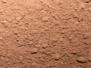 Cocoa powder for sale in Bulk