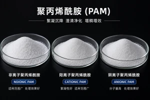PAM    Polyacrylamide