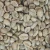 Import Robusta Coffee Bean High Quality Robusta Coffee Bean Available For Sale At Competitive Prices Worldwide from South Africa