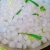 Import Nata De Coco, Pure Nutritional Coconut Jelly from Vietnam