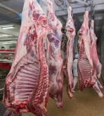 Buffalo Boneless Meat/ Frozen Beef ,cow meat,Goat beef meat for wholesale Price