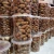 Import Premium Nigerian Bitter Kola Nuts – Export Quality Garcinia Kola from Nigeria