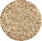 Sesame Seeds
