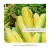 Import Yellow Maize Corn - YELLOW CORN - from UKRAINE / PRICE 2020 / from Ukraine