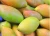 Import Fresh Mangoes from India