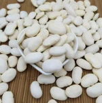 WHITE KIDNEY BEANS WHOLESALE AND RETAIL