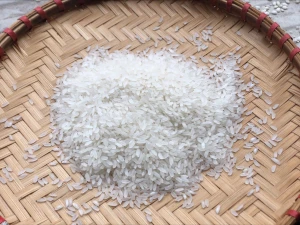Biggest Distributor of Japonica Rice Short Grain Round Calrose Rice Sushi Japan Rice Camolino Cheap Price Export Packin