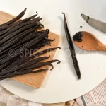 Vanilla Bean High Quality