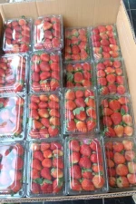 Strawberry ,peaches ,orange ,water melon, grapes, chilli habanero, pineapple, mangoes, Apple's,