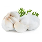 Natural Fresh Garlic With Strong Flavor And Good Shelf Life Suitable For Food Factories And Bulk Supply Requirements