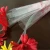 Import 100% biodegradable and compostable plastic clear flowers packaging bag/film from China