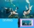 Import 100% sealed Waterproof Diving Bag For Mobile Phones waterproof cell phone bag for swimming from China