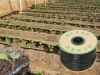 16mm flat emitter drip tape for agriculture irrigation
