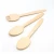 Import 170mm wood disposable brich wooden fruit soup serving wooden spoon from China