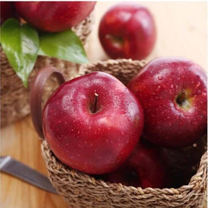 2018 average price apple fruit China fresh apple for sale