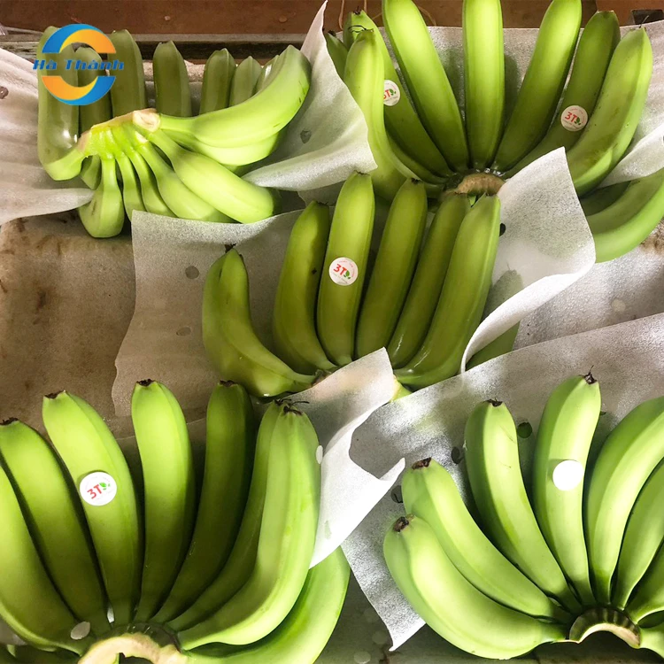 2020 For Exports Wholesale Low Price Naturally Sweet Fresh Cavendish Banana