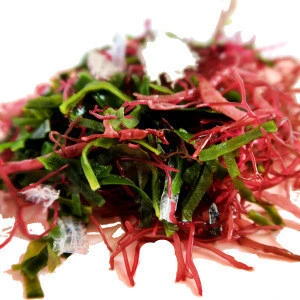 2020 Korean  seaweed salad Korean Dried seaweed bibimbap &amp; Salad Nutrient-packed seaweed salad mix in water for 3 minutes
