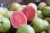 Import 2020 seasonal origin hot selling fresh white and pink guava from Bulgaria