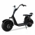 Import 2021 Citycoco Adult Fat Tire Motor cycle Electric Bicycle 1500w With Other Electric Bicycle Parts from China