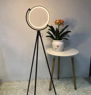 2021 Fashion style decorative tripod modern led light floor standing lamp