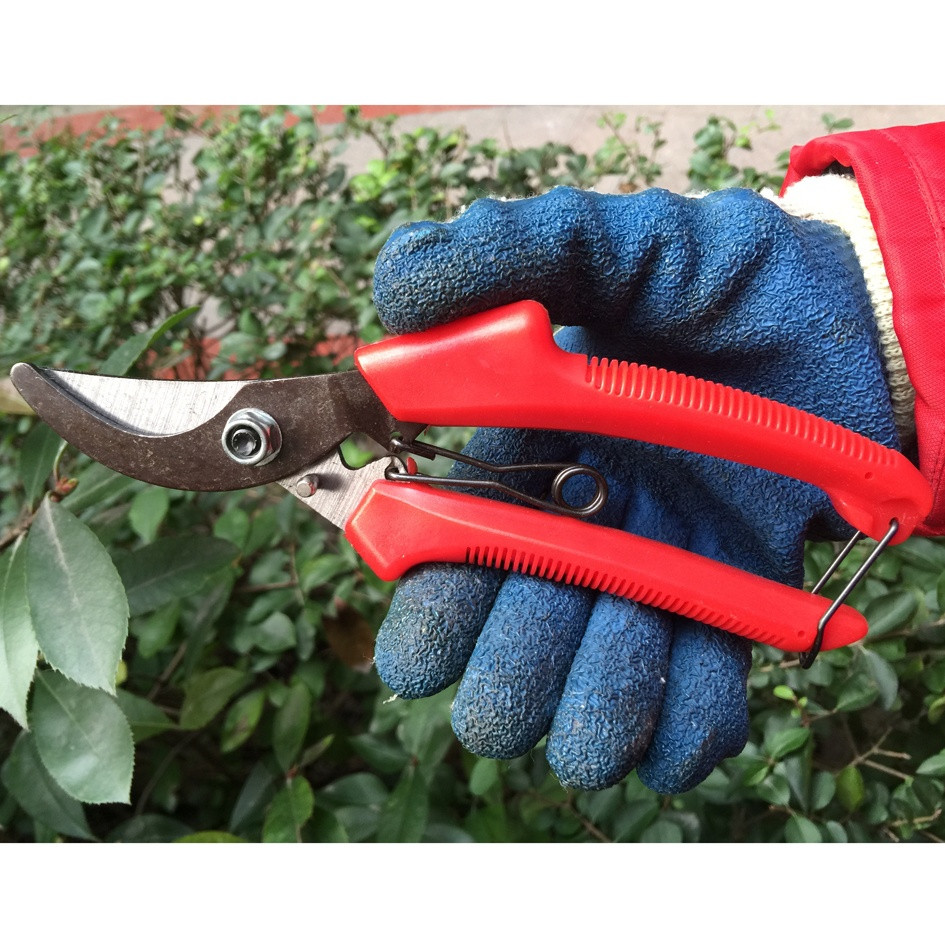 220mm steel blade plastic handle garden Pruning Shears/flower snip cutter pruner/bypass secateur Branch cutter