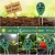 Import 3 In 1 gardening plant flowerpot tester soil moisture meter/PH Meter/illuminance meter from China