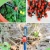 360 Degree Adjustable Micro irrigation Dripper / Drip watering Emitter for agricultural/garden irrigation