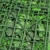 Import 50 x50cm Fresh PE artificial fence covering plants on gates from China