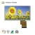 Import 6.2 inch inch 800 (RGB)*480 resolution TFT LCD Display for Industry Area from China