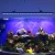 Import 84W 4FT wholesale aeroponics greenhouse led grow light kit led aquarium lighting from China