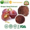 98% Proanthocyanidin (OPC) CAS No.4852-22-6, Grape Seed Extract