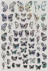 A series Colorful butterfly nail stickers Daily nail stickers