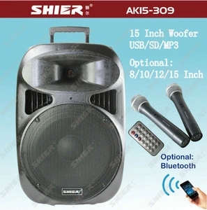 AK15-309 Powerful amazing 15" vacuum tube amplifier with wireless micro